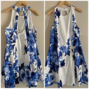 Lauren Ralph Lauren Blue and White Floral Dress